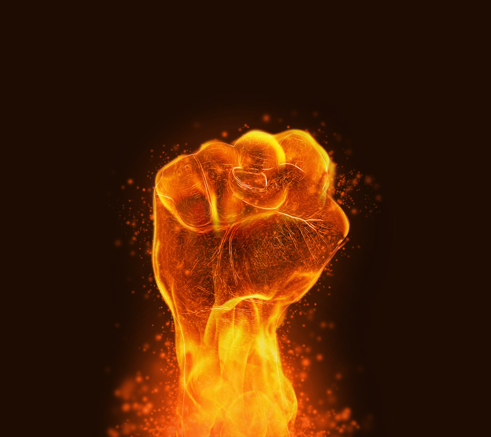 Fist on it, fist 27 Fist on it, fist 38